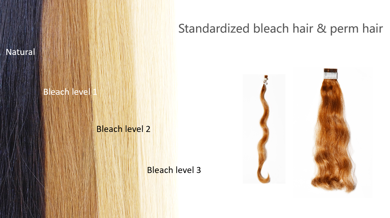 Introduction Of Permed Bleached Hair Canyu